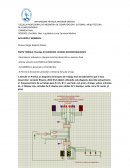 Examen final PROTEUS PROFESIONAL