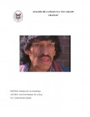 ANALISIS DE LA PELICULA “EL CARA DE CHANGO”