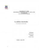 Adultez Media: Aspectos del desarrollo