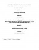 ENSAYO SOBRE LA PROYECCION EN (10 años) COMO PROFESIONALES Y QUE PRACTICAS ECOLOGICAS PUEDAN IMPLEMENTARSE