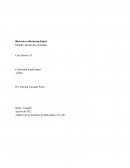 Análisis de los formatos de publicidad en la web