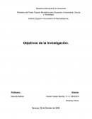 Bjetivos de la Investigación.La pandemia originada por el COVID-19