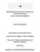 PLAN DE CUIDADOS DE ENFERMERIA