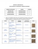 REPORTE USO DE MATERIAL Y NORMAS DE SEGURIDAD