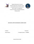 BOLIVAR DEL PATIO DE GRANADOS AL MONTE SACRO