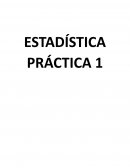 ESTADÍSTICA PRÁCTICA 1