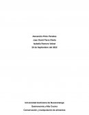 INFORME VEGETALES ENCURTIDOS