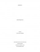 Pseudocodigo y diagrama ¿Qué son las normas Icontec?