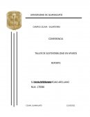 Taller de Sustentabilidad en apuros