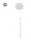 Teoría de los Procesos Administrativos