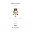 Variaciones fisiológicas del ejercicio en altura