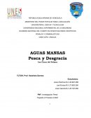 Aguas mansas. Pesca y desgracia