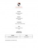 Elaboración de plan de vida