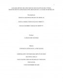 ANÁLISIS CRÍTICO DEL DISCURSO DE DOS FANÁTICOS DEL FÚTBOL