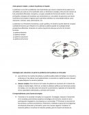 Como generar empleo y reducir la pobreza en Ecuador