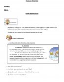 Secuencia didactica ¿Qué sabemos del invierno?