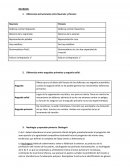 Neurosis descripción