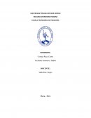 ENSAYO SOBRE LA AUTORÍA RESPONSABLE