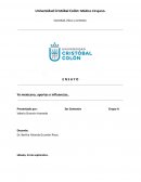 Yo mexicano, aportes e influencias