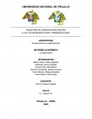 INFORME ACADÉMICO La organización