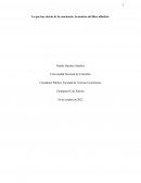 Lo que hay detrás de la conciencia: la mentira del libre albedrío