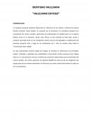 IDENTIDAD VALLEJIANA “VALLEJIANO EXITOSO”