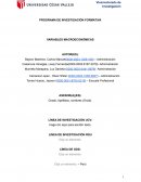 PROGRAMA DE INVESTIGACIÓN FORMATIVA VARIABLES MACROECONÓMICAS