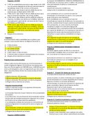 Contabilidad 1 (El PGC)