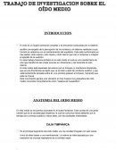 ANATOMIA DEL OIDO MEDIO