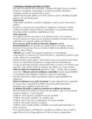 Estructura y Dinámica del Poder en el Perú