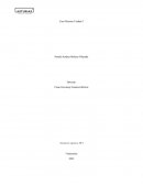 Sistema Logístico DFI