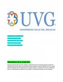 CONSULTORIA DE AUDITORIA EREL