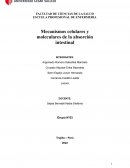 Mecanismos celulares y moleculares de la absorción intestinal