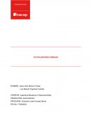 Analisis toyota motor company