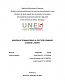 Abordaje Comunitario al sector Domingo Guzman Lander