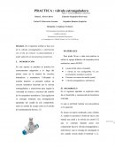 REPORTE VALVULA ESTRANGULADORA