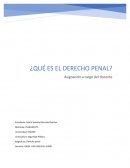 El derecho penal