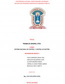 SISTEMA NACIONAL DE CONTROL Y CONTROL DE GESTIÓN