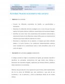 Actividad: Nuestro ecosistema más cercano