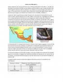 Lectura: La tortilla parte 1