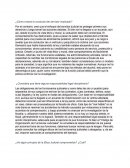 ¿Cómo evalúa la conducta del servidor implicado?