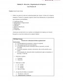 Dirección y Organización de la Empresa Caso Práctico II