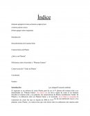 ¿Qué es un Planeta? Diferencias entre Asteroides y “Planetas Enanos”