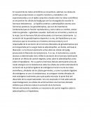 Bitacora de actividades biologia