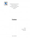 Enzimas investigacion