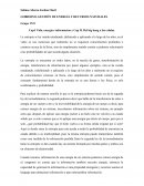 GOBIERNO, GESTIÓN DE ENERGÍA Y RECURSOS NATURALES