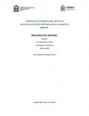 Análisis Bioético de la Reproducción Asistida. La infertilidad como causa principal