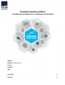 Inteligencia de Negocios y Software de Gestión