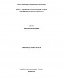 Caso práctico Lidl - Cadena de supermercados