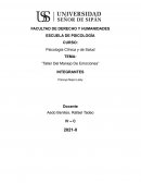 TALLER MANEJO DE EMOCIONES